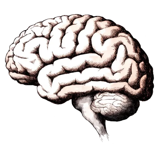 Brain Wellness Panel